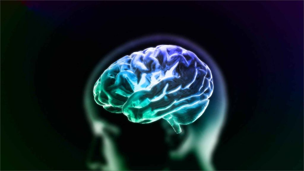 imagem destacada o cerebro humano e a evolucao de novos habitos