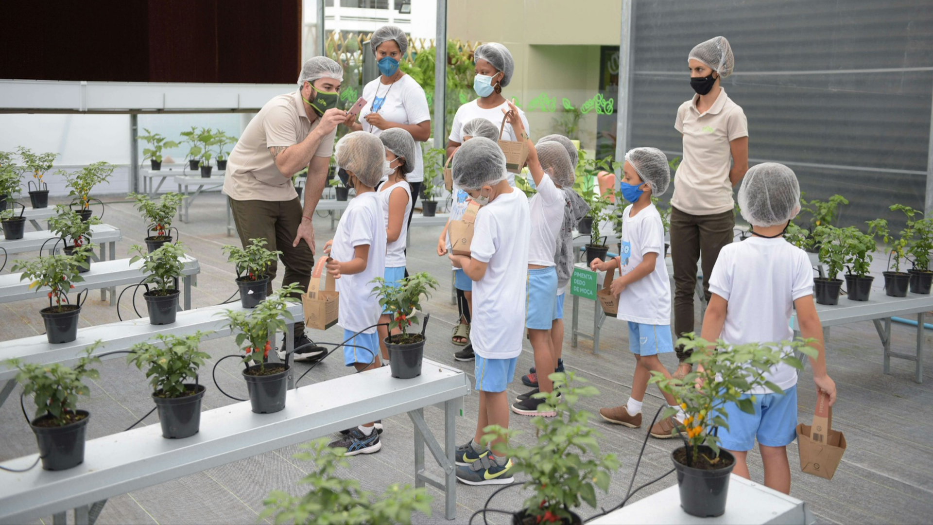 A fazenda urbana BeGreen tem como objetivo educar de forma lúdica sobre hábitos saudáveis e sustentabilidade, além de estimular a criatividade das crianças.