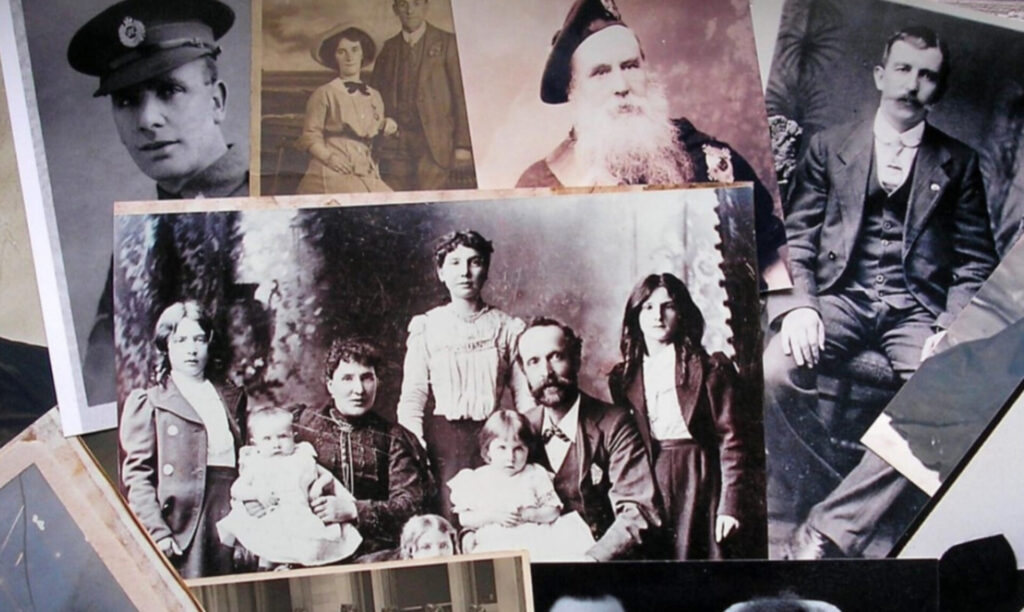 InShot 20250128 141736846