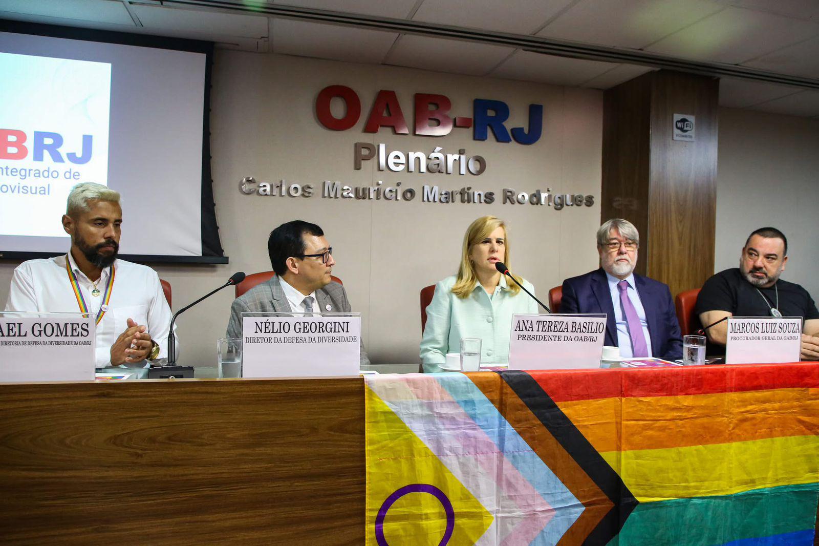 bandeirão LGBTQIAPN+